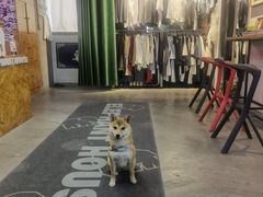 -小象家照相馆(大都荟店)