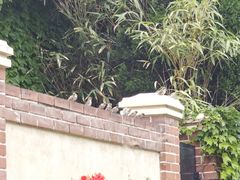 -青岛德国监狱旧址博物馆