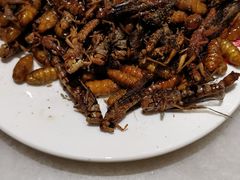 -虢国羊肉汤馆(政二街店)