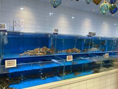 水产区-T11生鲜超市(朝阳公园店)