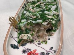 -蝶园·装修中(BFC外滩金融中心店)