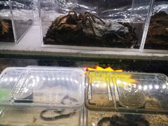 -三旗百汇商品城