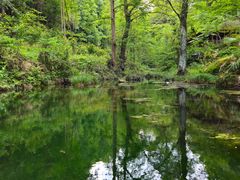 -素山寺森林公园