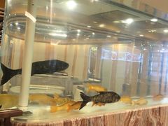 -北大荒淡水鱼馆(秀水广场店)