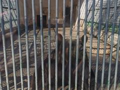 -祥源·阜阳生态乐园