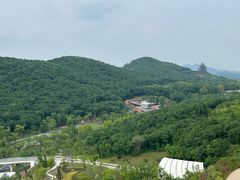 -牛首山文化旅游区