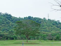 -风云岭森林公园