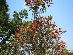 -艾溪湖湿地公园