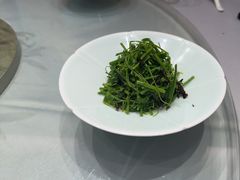 油鸡枞拌辣木苗-马旺子酒楼