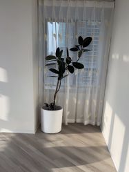 -HEYAN荷妍专业脱毛连锁机构