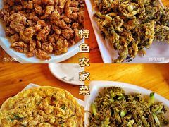炸花椒芽-途肴·老农饭庄(百里峡店)