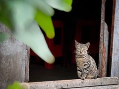 -海窝子古镇
