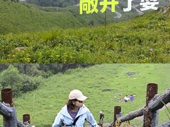 -灵山