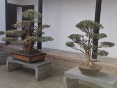 -绮园景区
