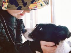-COMPANION COFFEE小伴咖啡