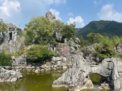 -千岛湖石林