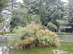 -巍山古城