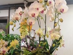 -佛有缘素食馆·荔湾老字号(陈家祠首店)