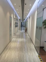 -上海首尔丽格医疗美容医院