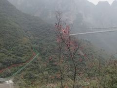 -神农山景区