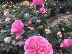 -人民公园(罗湖区)