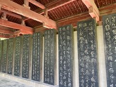 -碑林公园