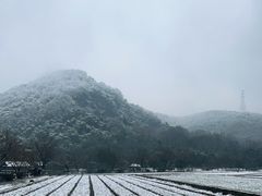 -八卦田遗址公园