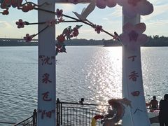 -丁香湖公园
