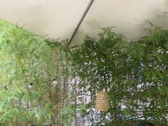 -贰醒·私房小院烧烤 (太古里店)