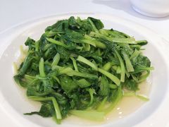 有机蔬菜-乾隆美食·本帮菜(黄河路店)