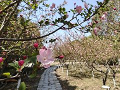 -阳澄湖半岛旅游度假区