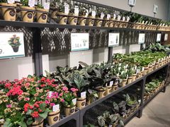 -鹿岛会员店 (龙湖三千集天街店)