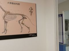 -宠福鑫动物医院(立水桥分院)