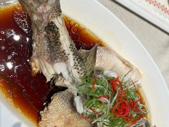 -7号院家宴.烧鸽子(门头沟店)