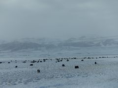 -祁连山·岗什卡雪峰景区