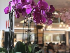 -珍之宝御品·寻味顺德(容桂渔人码头店)