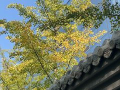 -元大都城垣遗址公园