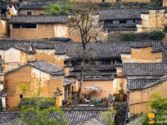 -杨家堂村