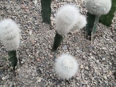 -南山植物园