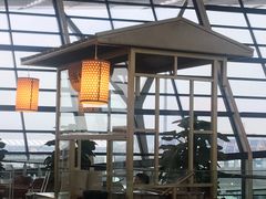 -浦东机场国航头等贵宾室