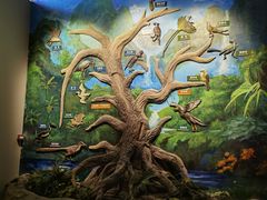 -辽宁古生物博物馆