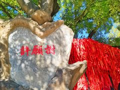 -八大处公园