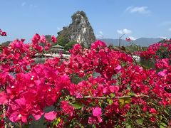 -星湖旅游景区七星岩