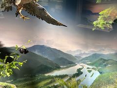 -中国湿地博物馆