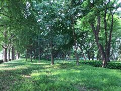 -玲珑塔公园