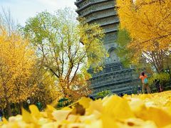 -玲珑塔公园