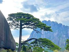 -黄山风景区