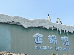 -珠海长隆海洋王国