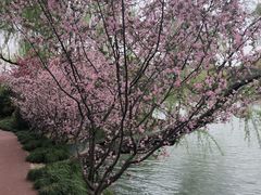 -水墨澜渟足道·SPA·传统(四望亭东关街店)
