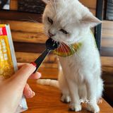 带孩子探店喵屋咖啡☕️